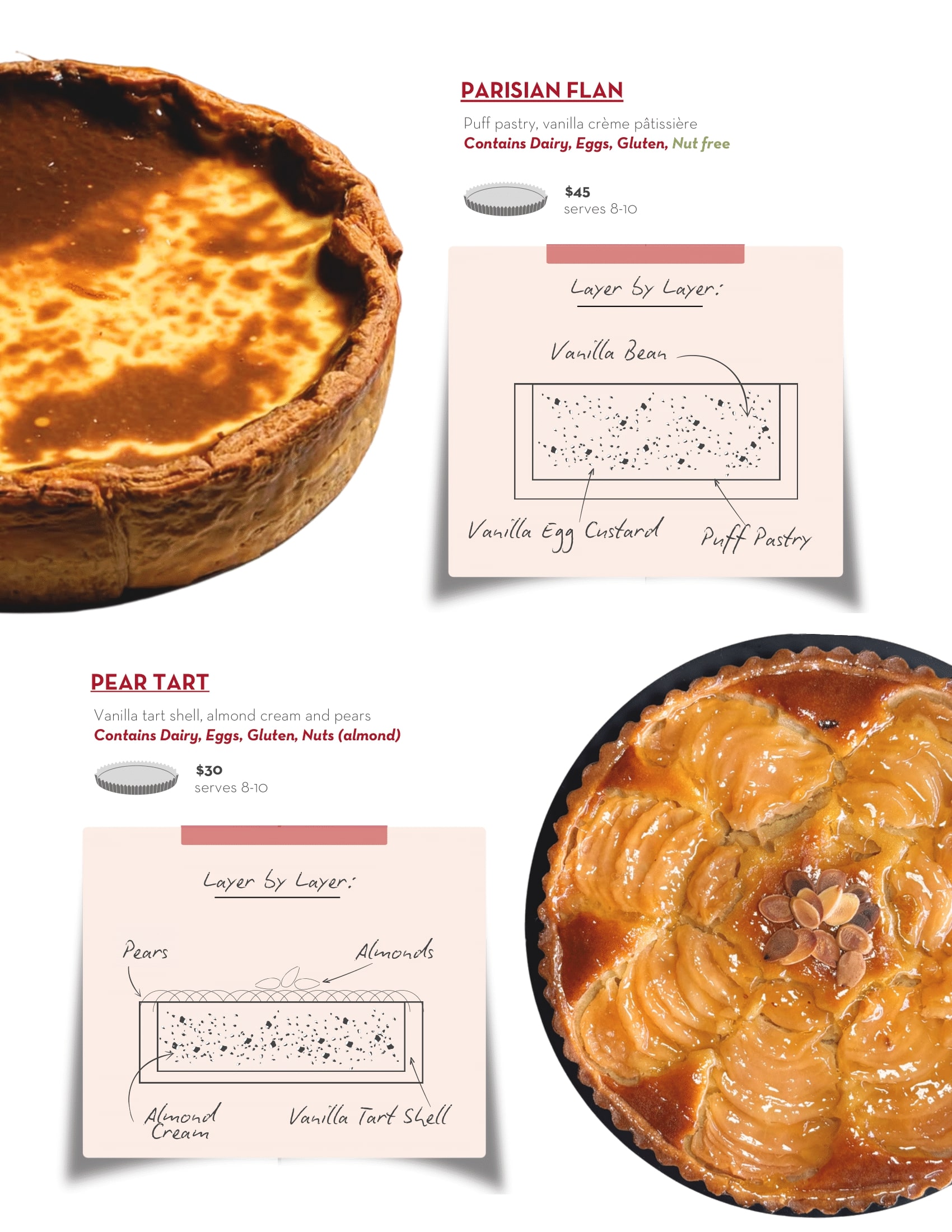 1203 Updated Catalog Winter 10