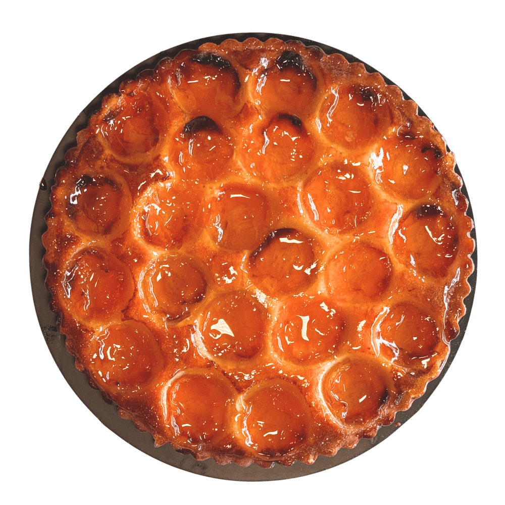 APRICOT TART